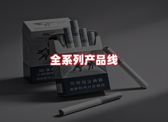 专业团队